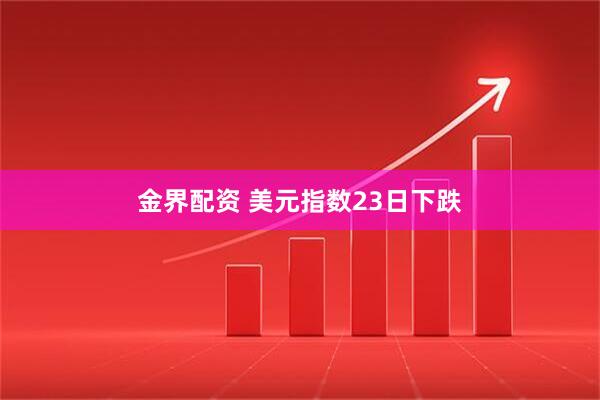 金界配资 美元指数23日下跌